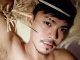 Shows ZephTui